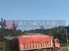 河北青龙县： 超载大货车畅行无阻