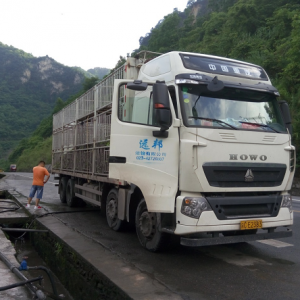 HOWO T7H 这才是一流的卡车